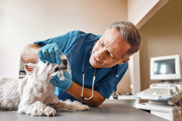 Best Emergency Dental Surgery in Ballinger, TX